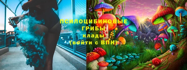 ПСИЛОЦИБИНОВЫЕ ГРИБЫ Богородицк